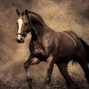 Dorene Willis - @Grannie516 - Twitter