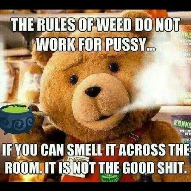 Jarretpeterson2's profile picture. 