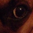 sienna - @SiennaMorgan15 - Twitter