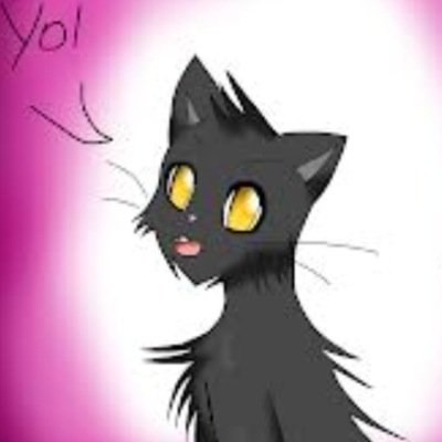 Meow bitches