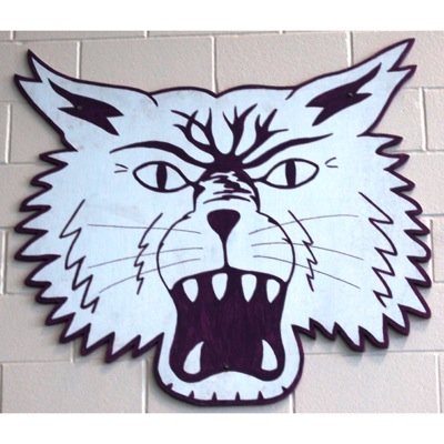 Bearcats2018's profile picture. no teachers or staff of muncie central is associated with this page.