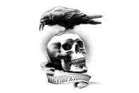 tonydelgado18's profile picture. 