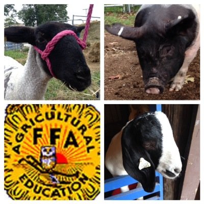 Pocahontas FFA livestock barn!