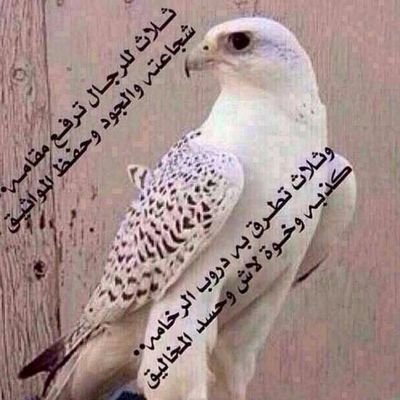 0592223732