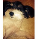 Jill Shupe - @ploppinsshupe - Twitter