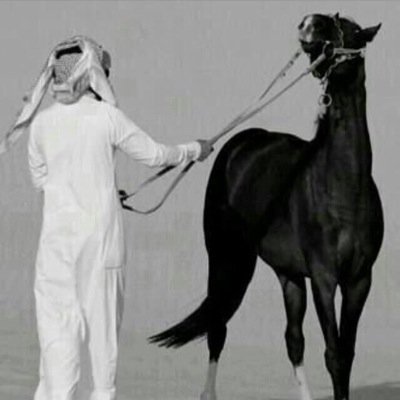 وعلى حاء (( الحيره)) نقطة لانراها // اتشرف بجميع الإضافات = إضافه ودعم حساب كل متابع تبادل رتويت