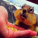 Heidi Armstrong - @heidimastrong91 - Twitter