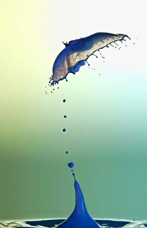 estadosunidos98's profile picture. 