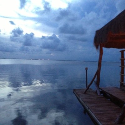 lomlx21's profile picture. 