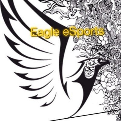 EAGLE_eSports1's profile picture. Official twitter of Eagle eSports. Ps3. Sponsored by: @CinchGaming @noscopeglasses and @WestCoastChill