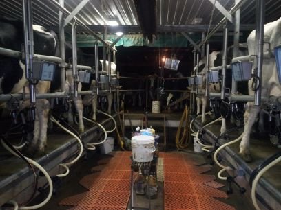 We are a third generation dairy farm owned and operated by my wife Elizabeth, myself and my three kids, Nash, Megan and Michelle.