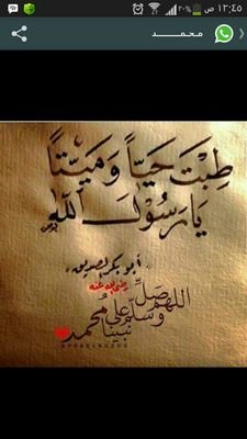 ‏‏ماجستير أنظمة
وحالياً طالب دكتوراه
المدينة المنورة