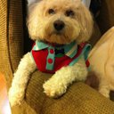 Marty Roberts - @MartyMhr1226 - Twitter