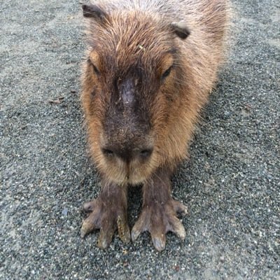 pnet1013's profile picture. 自分への戒めといつか帰るための場所