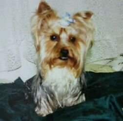 green08Rose's profile picture. 横浜に生まれ育ち都内に在住。2004/4より韓流☆ヨンハに出逢ったのは運命❤🎵 韓ドラ,K-POP,その他音楽総てが好き💚 NIK,I-LAND,FL1X,5tion,SS501,YORO(三井瞭)を応援中 🎵💖🎵