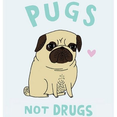 Si la PugVida te da limoPUGS NOT DRUGS•Si tu PugNovi@ te engañPUGS NOT DRUGS•PUGS NOT DRUGS COMO RESPUESTA A TODO