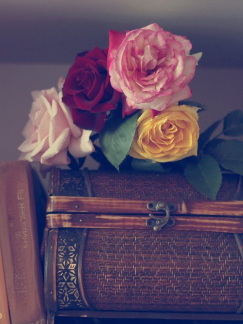 ‏لا إله الا الله ♡