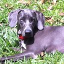 Clara Ines Toro - @ctoroup - Twitter