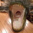 Pat Ewing  - @patickewing2 - Twitter