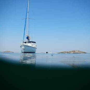 pacorenia's profile picture. ...