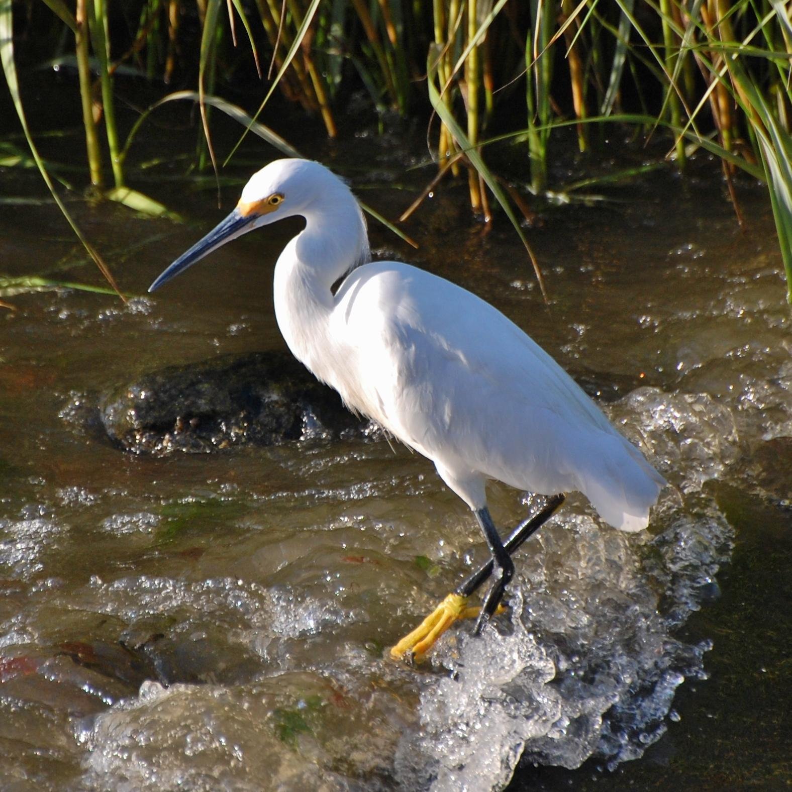 cynthiaehlinger's profile picture. 