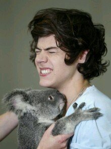 beatboxnelson's profile picture. im a parody Jesy :)