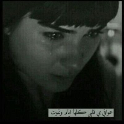 لاابحث عن علاقات غراميه