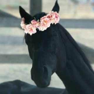 ~اللهم ايقظني على نور الجنه ان غفيت طويلاً🌼.'سبحان الله وبحمده سبحان الله العظيم ♥