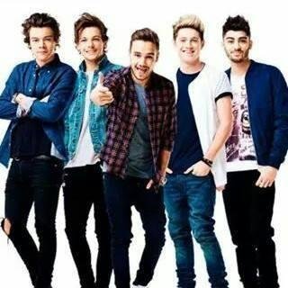One Direction 5 Seconds Of Summer Directioner