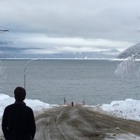 Jean-François Latulippe (@latjf) 's Twitter Profile