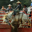 Lewis Weaver - @lewisweaver86 - Twitter