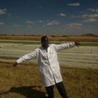 Dr Simbarashe G Nyaumwe(@NyaumweGiles) 's Twitter Profile Photo
