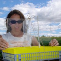 Romina Rader (@rominatwi) 's Twitter Profile Photo Romina Rader (@rominatwi) 's Twitter Profile Photo