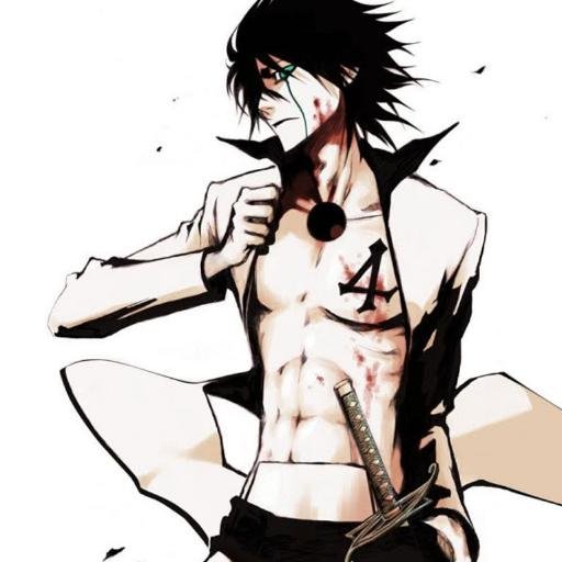 ❝what is Heart? can i see it when i tear your chest? or when i break you head?❞ 【4th Espada】【Bleach-Rp】 【Multiverse】
