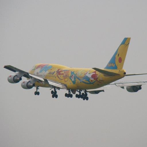 アニメなどの絵がラッピングされた航空機を個人で所持する事が夢