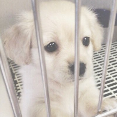 loveIyvibes's profile picture. everybody needs a little positivity sometimes