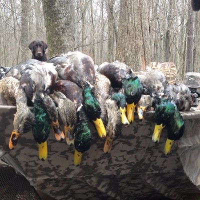 Southern_Edge22's profile picture. Fear God, love your neighbor, hunt ducks.