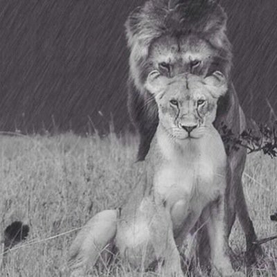 Grand_Sorcier's profile picture. J'suis pas un singe savant, ni un nègre de base