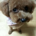 mijung kim - @mjkim71 - Twitter