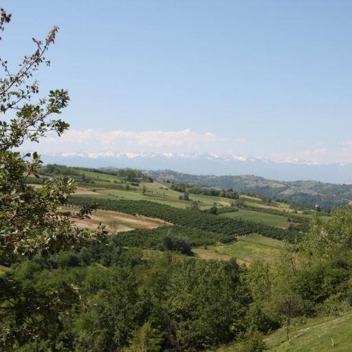 casa in bocca al lupo: bei vini