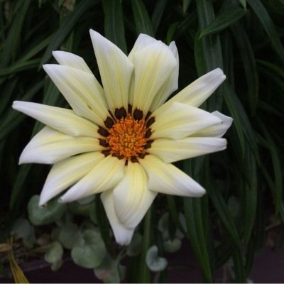 freefollows932's profile picture. Im Kayla || i try to follow bout maybe 50-100 people everyday (sometimes more, sometimes less || if you want me to follow your friends or what not just tweet me