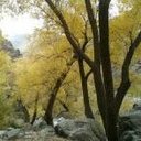 Kate Azar - @KateAAzar - Twitter