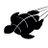 SeaTurtleFB's profile image