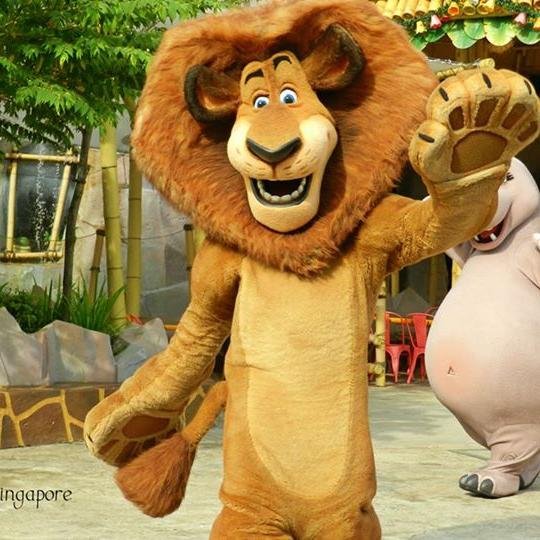 EnjoyLifeatSG's profile picture. Our Company sells Singapore attraction ticket, and we are online based.
Visit our website for more information and to order: http://t.co/SvcfXUCjfE