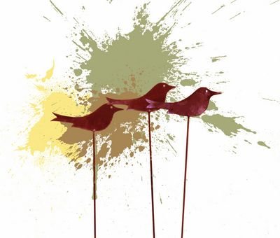 beyazzsiyah's profile picture. 