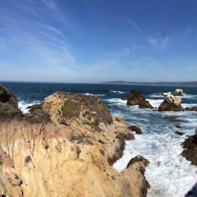 svranes's profile picture. 