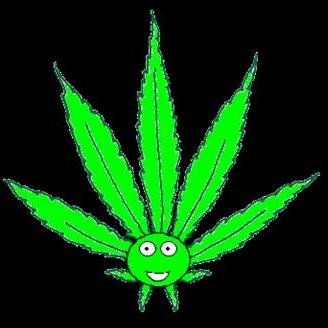 El c.s.c. (cannabis social club) The Happy Leaf es un asociasiòn para fumador de cannabis que quiere consumir sin recurrir al mercado negro y sus peligros.