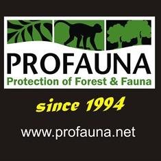 PROFAUNA is a non profit organization for forest and widlife protection in Indonesia