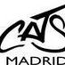 discoteca cats (@cats_discoteca1) Twitter profile photo discoteca cats (@cats_discoteca1) Twitter profile photo