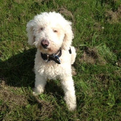 barberella05's profile picture. 